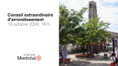 thumbnail of medium 2024-10-15 Conseil extraordinaire d'arrondissement du Sud-Ouest